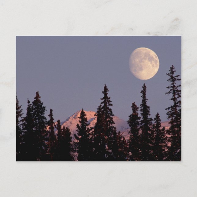 Postal Salida de la luna a principios de invierno | Ancho (Anverso)