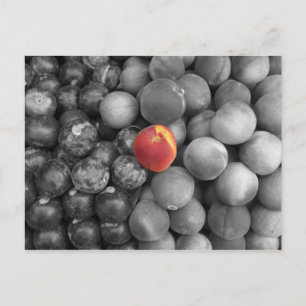 Postal Salida individual