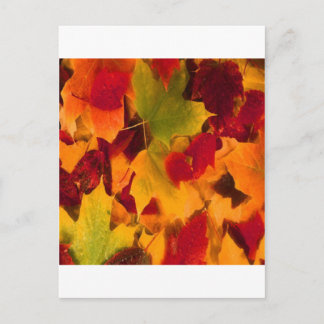 POSTAL SALIDAS DE AUTUMN