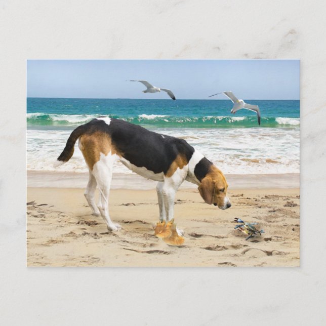 Postal "Sally & The Crab" (Anverso)