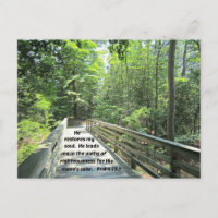 Salmo 23:3 Restaura mi alma, me lleva en el