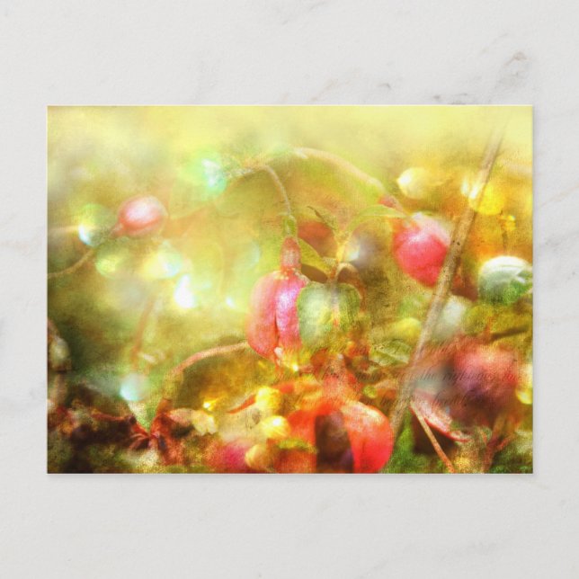 Postal Salmo 37 (Anverso)