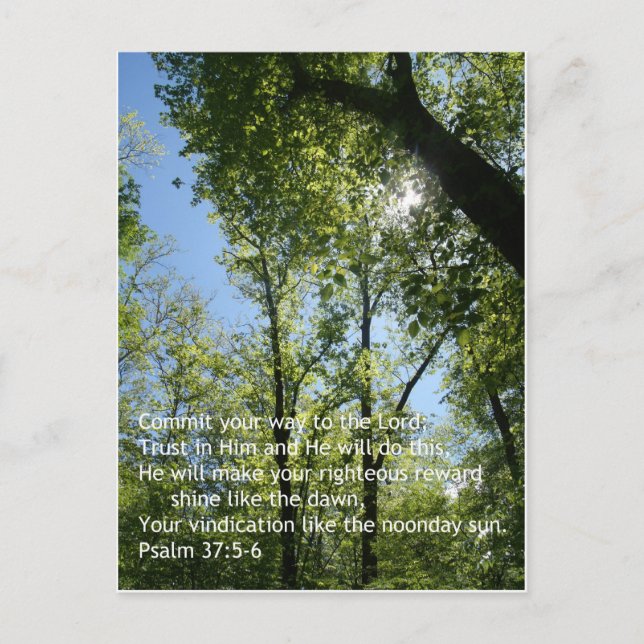 Postal Salmo 37:5-6 (Anverso)