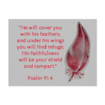 Salmo Biblia Verse Postcard 91:4 Plumas