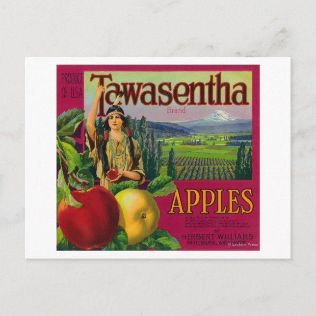 Postal Salmón blanco, Washington - Tawasentha Apple Labe (Anverso)
