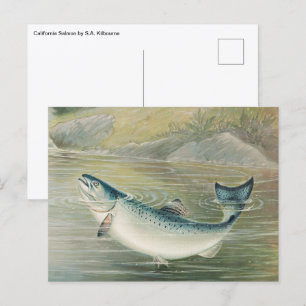 Postal Salmón de California por S.A. Kilbourne, pescado v