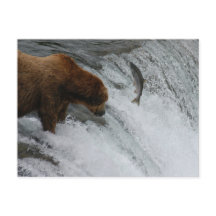 Salmón de pesca de oso, Brooks Falls Alaska