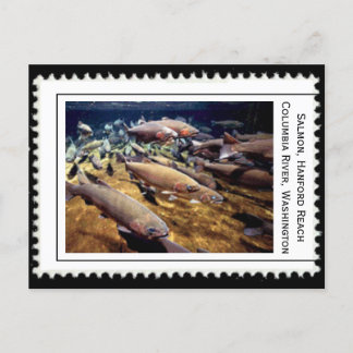 Postal Salmon Washington