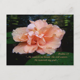 Postal Salmos 23 Postcard