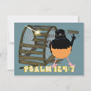 Postal Salmos: Shama de gota blanca
