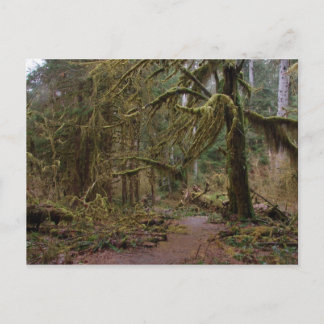 Postal Salón de Mosses