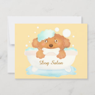 Postal Salon de Perro Grooming