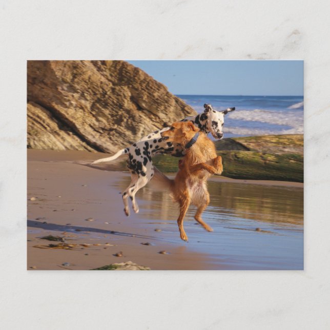 Postal ¡Saltando de alegría! (Anverso)