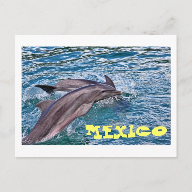 Postal Saltando delfines en México (Anverso)