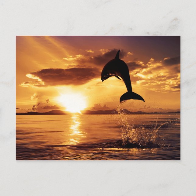 Postal Salto al atardecer (Anverso)