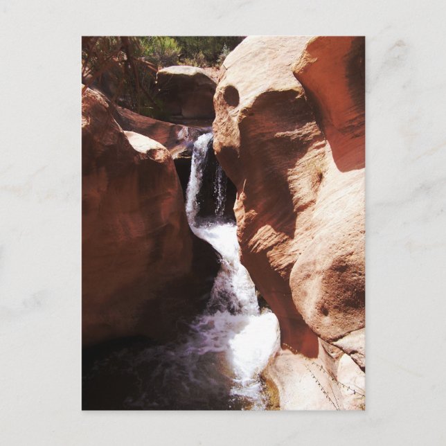Postal Salto de Creek agradable, Utah (Anverso)