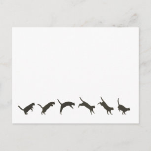Postal Salto de gatos