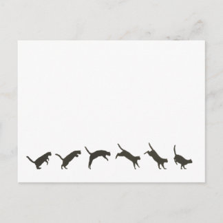 Postal Salto de gatos
