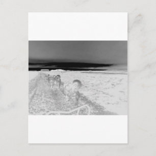 Postal Salto de perro