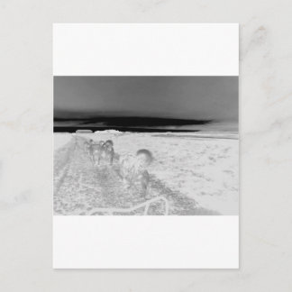 Postal Salto de perro