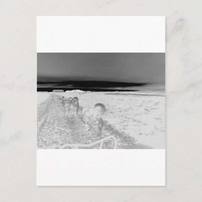 Postal Salto de perro (Anverso)