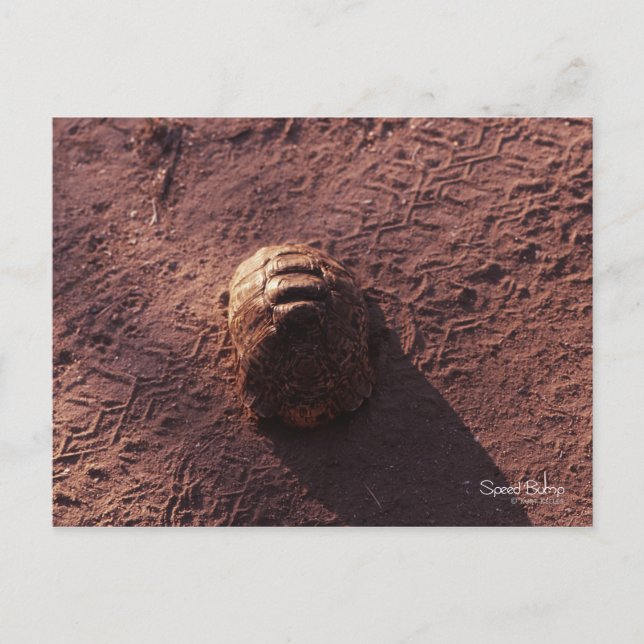 Postal Salto de velocidad (Anverso)