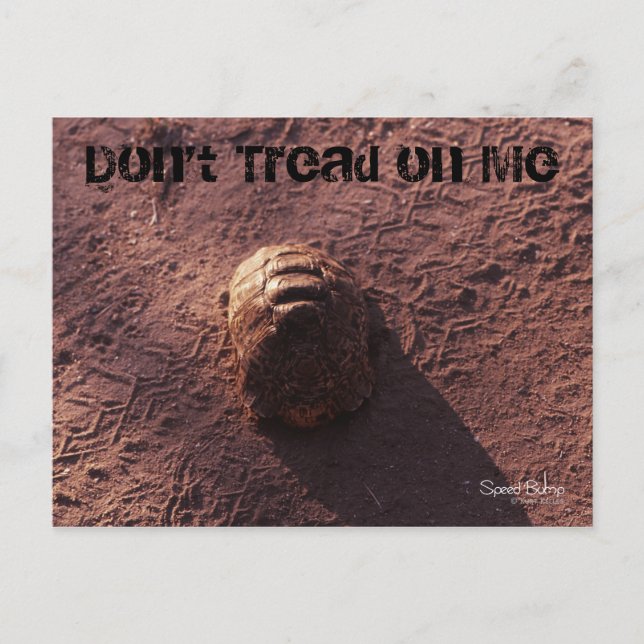 Postal Salto de velocidad (Anverso)