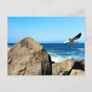 Postal Saltos de gaviota