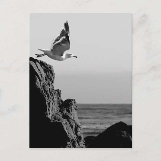 Postal Saltos de gaviota (Anverso)
