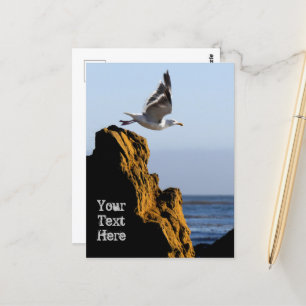 Postal Saltos de gaviota