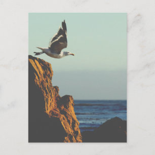 Postal Saltos de gaviota