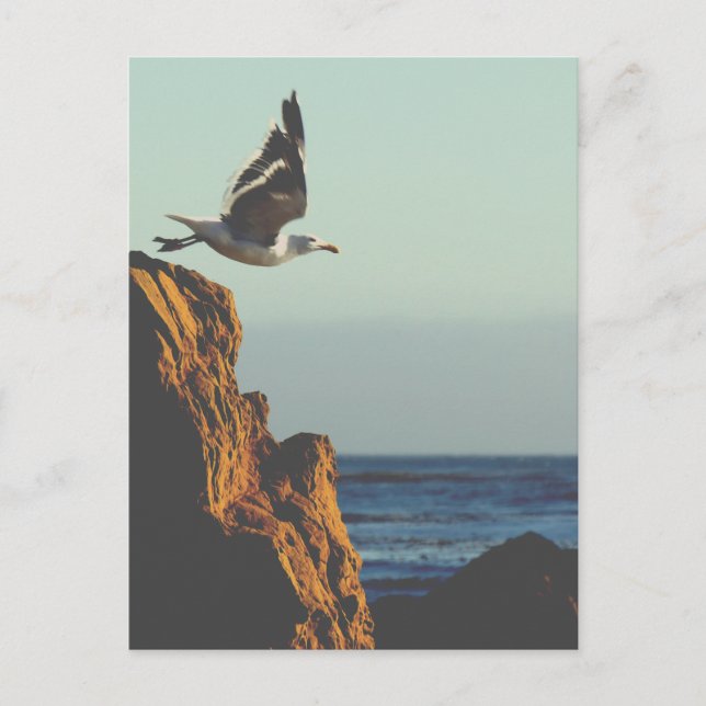 Postal Saltos de gaviota (Anverso)
