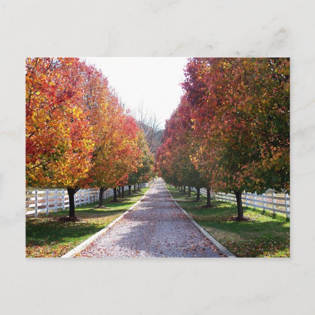 Postal Saltos de otoño en Virginia Post Card Glen Allen V (Anverso)