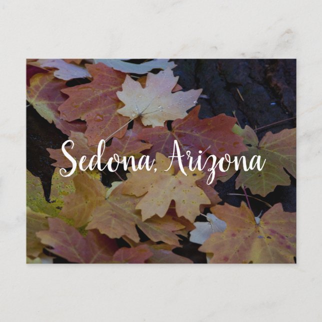 Postal Saltos de otoño, Sedona Arizona (Anverso)