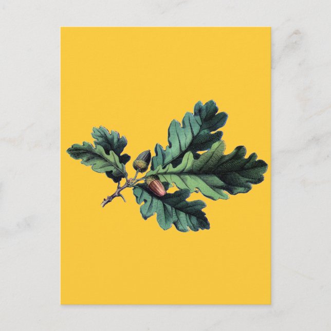 Postal Saltos y alcornoques de roble de impresión botánic (Anverso)