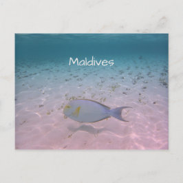 Postal Saludo de Maldivas