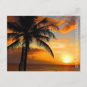 Postal saludo de palmas al atardecer