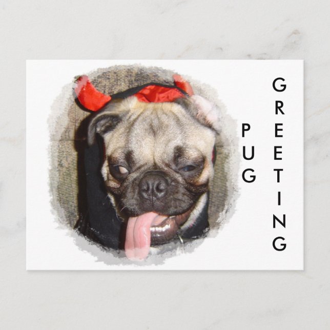 Postal Saludo de Pug (Anverso)