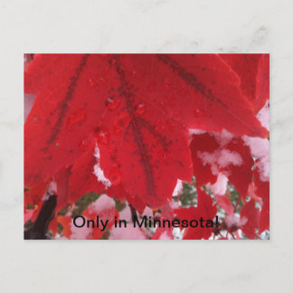 Postal Saludo desde Minnesota