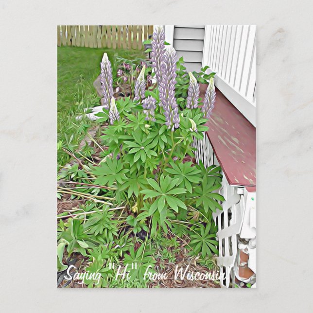 Postal Saludo desde Wisconsin (Anverso)