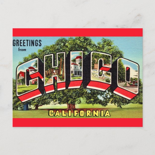 Postal Saludo Retro Chico California (Anverso)