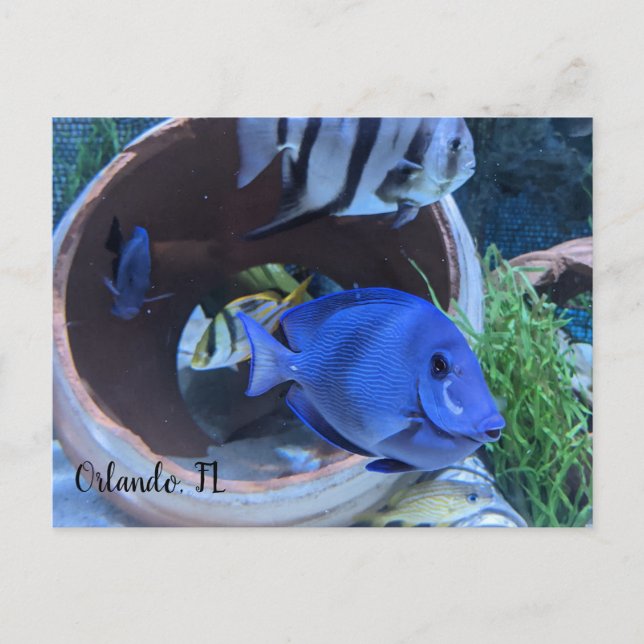 Postal Saludo subacuático (Anverso)