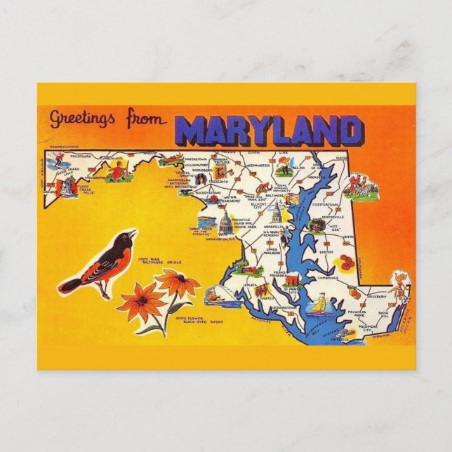 Postal Saludo vintage de Maryland (Anverso)