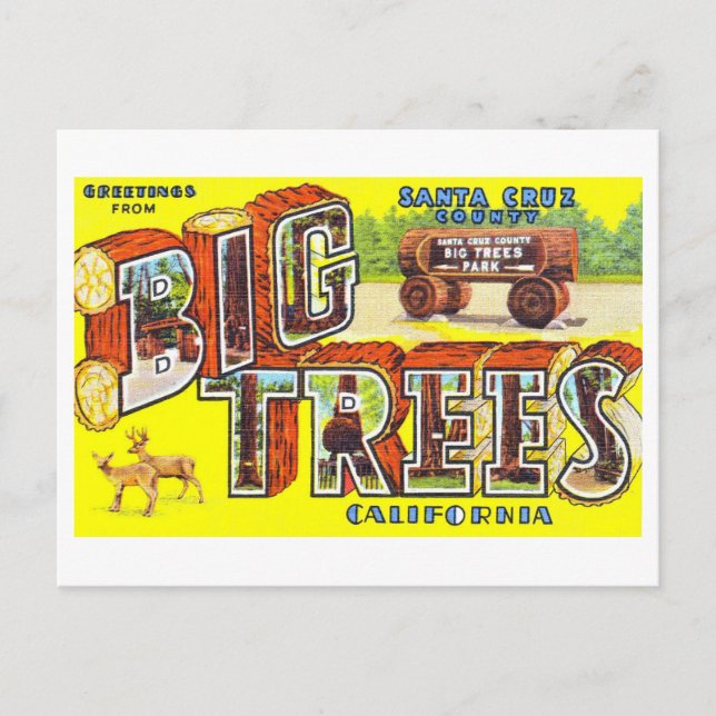 Postal Saludos Antiguos de Big Trees, Calif. (Anverso)