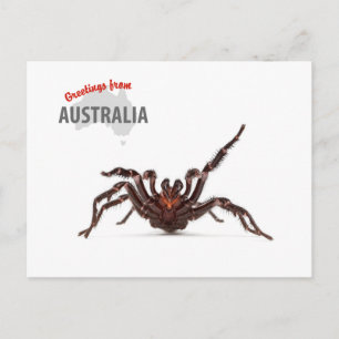 Postal Saludos de Australia - araña del Embudo-Web