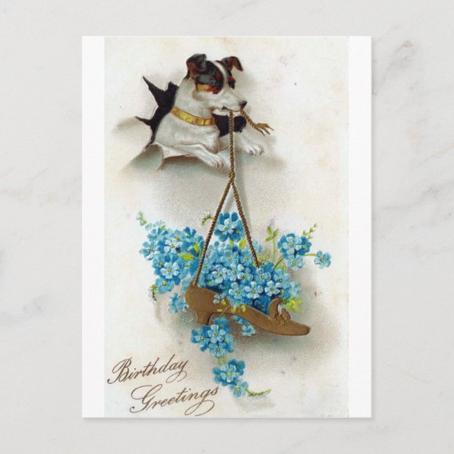 Postal Saludos de cumpleaños de perro y zapato lindos (Anverso)