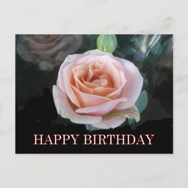 Postal Saludos de cumpleaños de rosa (Anverso)