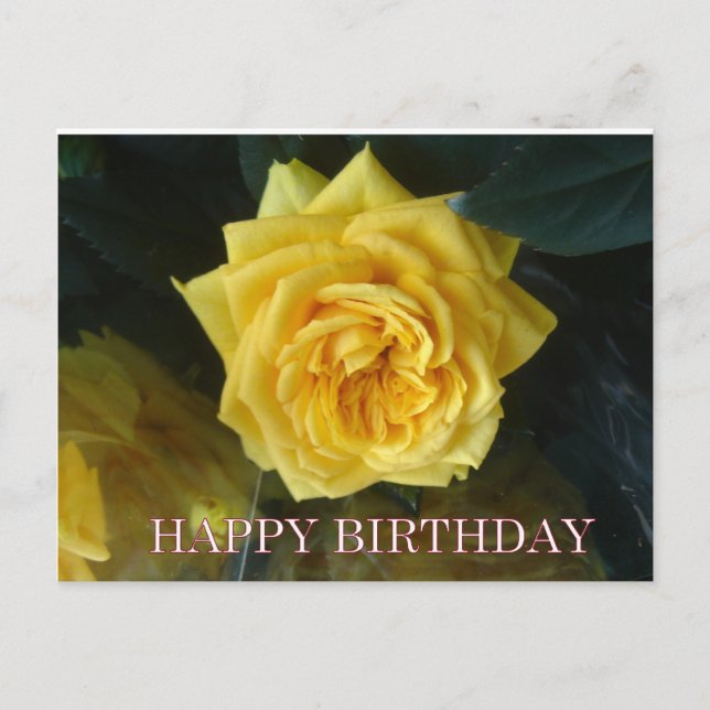 Postal Saludos de cumpleaños de rosa amarillo (Anverso)
