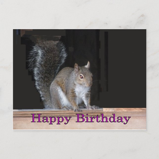 Postal Saludos de cumpleaños de Squirrel (Anverso)