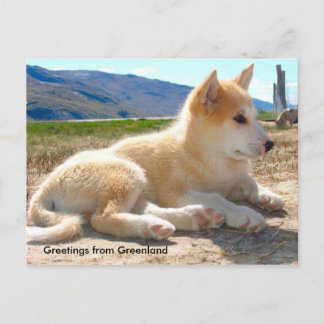 Postal Saludos de Groenlandia 12